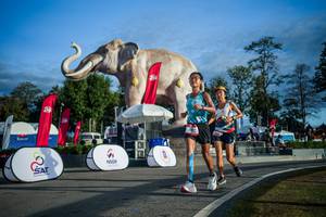 BIB: 
                            <button type="button" onclick="openModal(26541646)" class="btn btn-primary btn-sm float-right btn-popup" data-toggle="modal" data-target=".modal-high-quality">
                        <i class="fas fa-shopping-cart"></i> Add to Cart
                    </button>
                                            <button type="button" onclick="isThisMe(26541646, true)" class="btn btn-success btn-sm float-right btn-popup btn-isme hidden" data-toggle="tooltip" data-placement="bottom" title="นี่คือรูปของคุณใช่ไหม คลิกที่นี่เพื่อเอาเข้าอัลบั้ม">
                        <i class="fas fa-plus"></i> Add to album
                    </button>
                    <button type="button" onclick="isThisMe(26541646, false)" class="btn btn-warning btn-sm float-right btn-popup btn-isnotme hidden">
                        <i class="fas fa-ban"></i> Remove from album
                    </button>